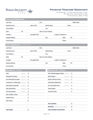 Personal Financial Statement Form