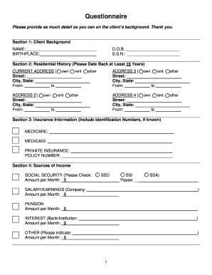 Client Background Questionnaire