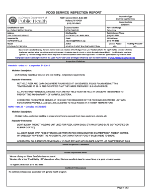 Routine inspection report template