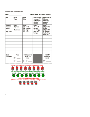Daily Monitoring Form