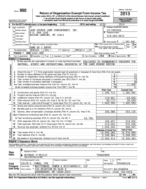 Form 990 2013