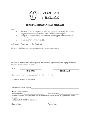 Personal Biographical Affidavit