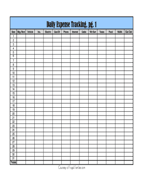 Daily Expense Tracking Form