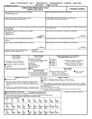 US Bankruptcy Court Voluntary Petition