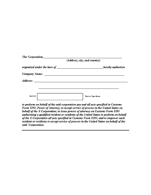 Customs Form 5291 Power of Attorney