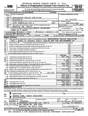 IRS Form 990 2013