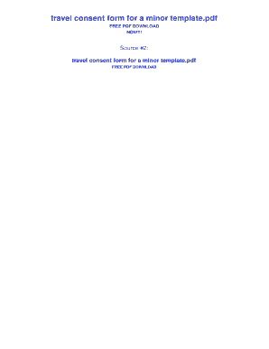 Child International Travel Consent Form