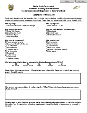 San Bernardino County PEI Plan Stakeholder Comment Form