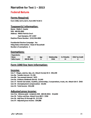 2013 US Federal Tax Return Form 1040