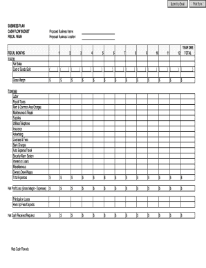 Cash Flow Budget Template