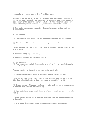 Twelve-Month Cash Flow Statement