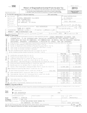 Form 990 2013