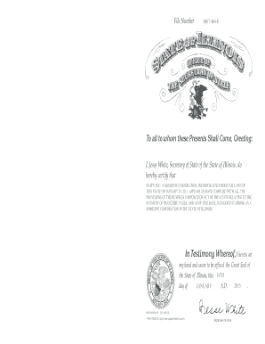 Illinois Certificate of Good Standing