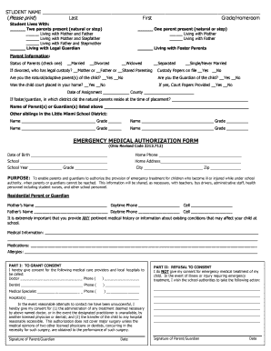 Ohio Emergency Medical Authorization Form