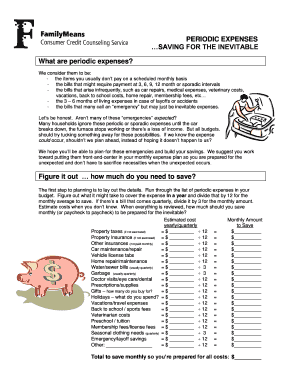 Periodic Expenses Savings Plan