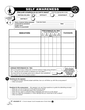 Youth Competency Assessment Form