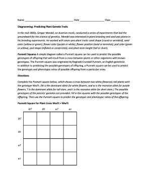 Punnett Square Worksheet