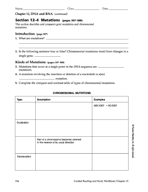DNA and RNA Mutations Worksheet