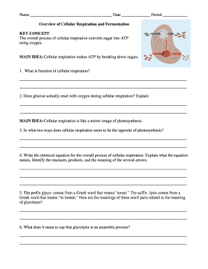 Cellular Respiration and Fermentation Worksheet