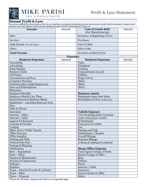 Manual Profit & Loss Statement