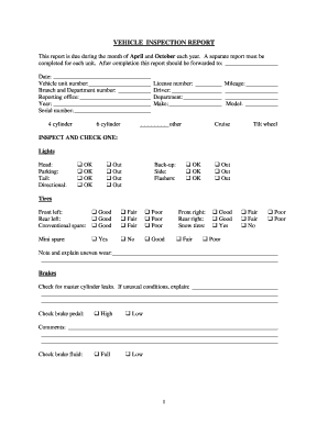 Vehicle Inspection Report