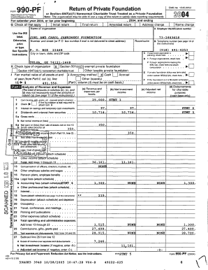 IRS Form 990-PF 2004