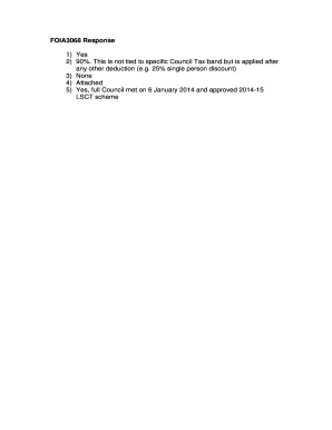 Local Support for Council Tax Consultation Form