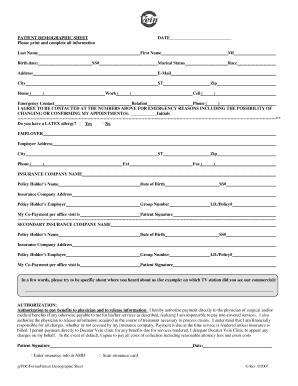 Patient Demographic Sheet