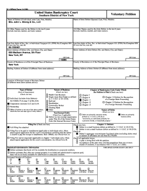 US Bankruptcy Court Voluntary Petition