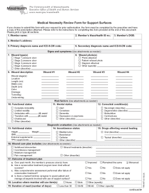 Massachusetts Medical Necessity Review Form for Support Surfaces