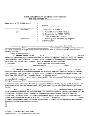 Affidavit of Service for Temporary Custody Order