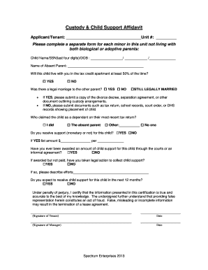 Custody & Child Support Affidavit