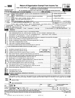 Form 990 Tax Exempt Organization Return