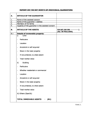 Guarantor Net Worth Report