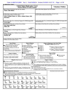 US Bankruptcy Voluntary Petition Form