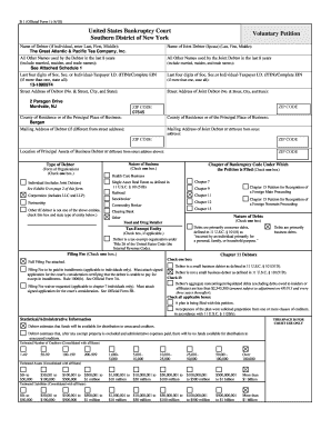 US Bankruptcy Court Voluntary Petition