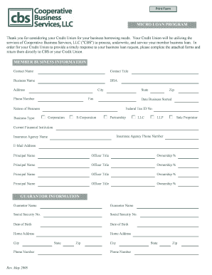 Micro Loan Program Business Application