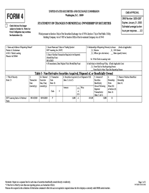 Form 4 Statement of Changes in Beneficial Ownership