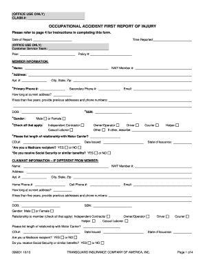 Occupational Accident First Report of Injury