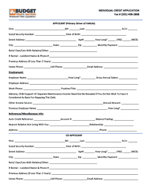 Individual Credit Application