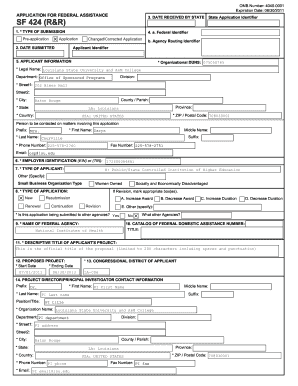 Application for Federal Assistance