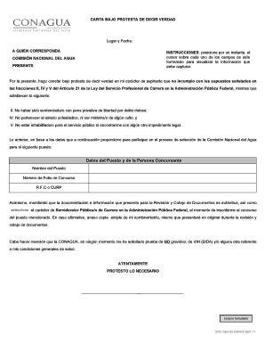 Carta bajo protesta de decir verdad