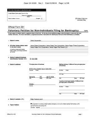 US Bankruptcy Voluntary Petition for Non-Individuals