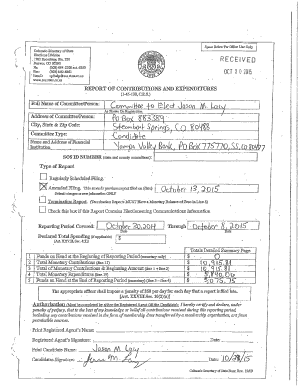 Colorado Campaign Contribution Report