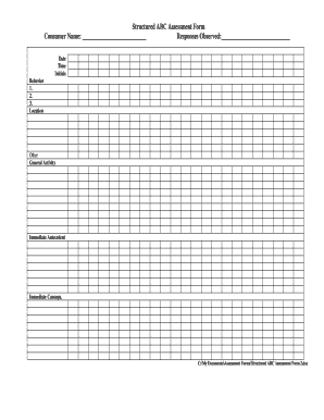 Structured ABC Assessment Form