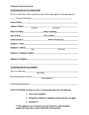 Wisconsin Work Permit Form