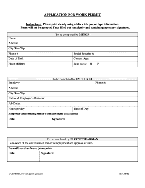 Wisconsin Work Permit Application