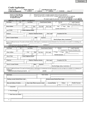 Credit Application for Visa Gold Card
