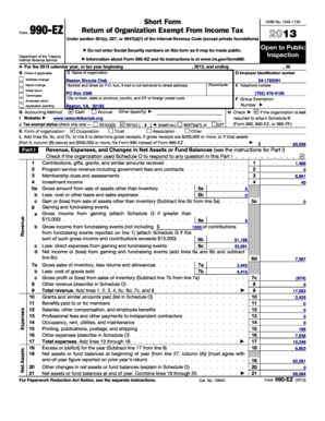 Form 990-EZ 2013