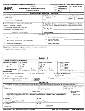 Form preview picture